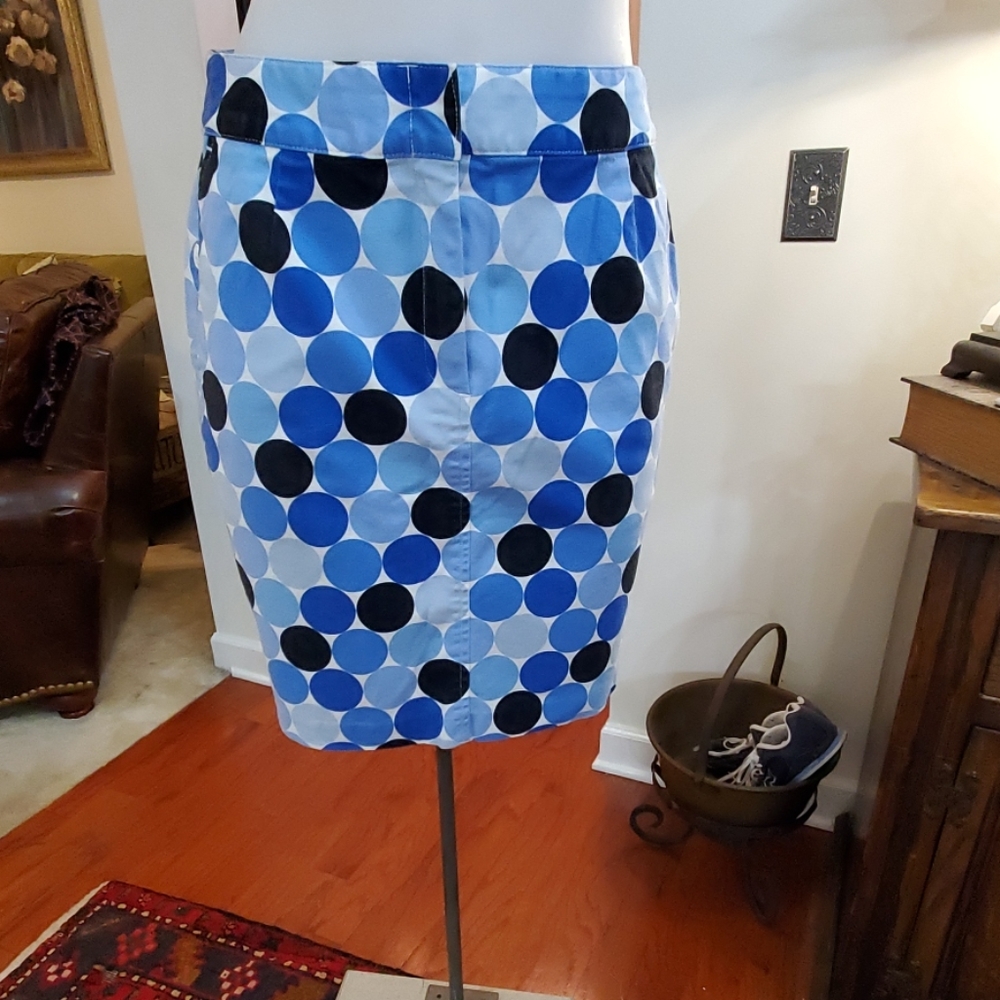 Talbots Petites Skirt